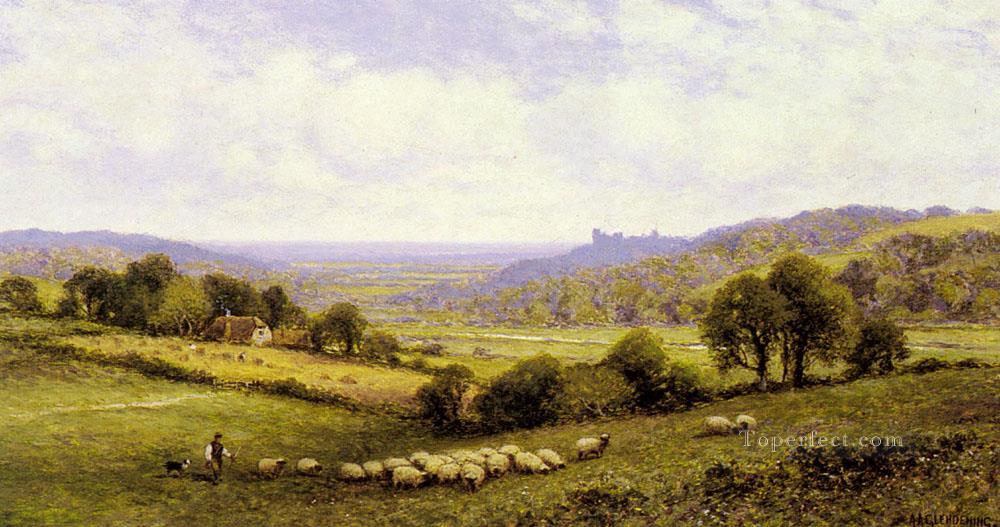 Près d’Amberley Sussex avec le château d’Arundel dans le lointain mouton Alfred Glendening Peintures à l'huile